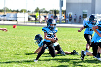 Bobcat Youth Football