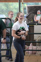 8/1/24 4H Rabbit Show Antelope Co Fair